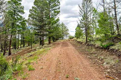 75 Deer Run Na, Guffey, CO 80820 - Photo 31