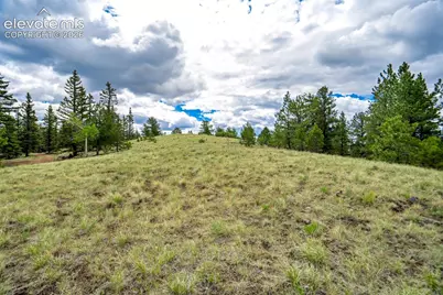 75 Deer Run Na, Guffey, CO 80820 - Photo 25