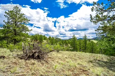 75 Deer Run Na, Guffey, CO 80820 - Photo 35