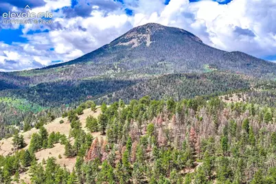 75 Deer Run Na, Guffey, CO 80820 - Photo 45
