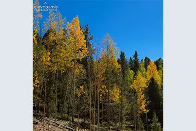 1341 Calcite Drive, Divide, CO 80814 - Photo 5