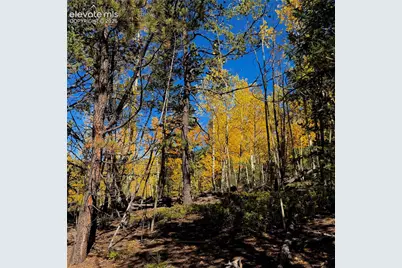1341 Calcite Drive, Divide, CO 80814 - Photo 11