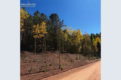 1341 Calcite Drive, Divide, CO 80814 - Photo 19