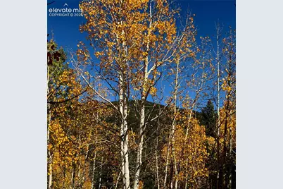1341 Calcite Drive, Divide, CO 80814 - Photo 15