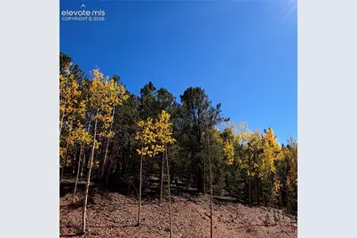 1341 Calcite Drive, Divide, CO 80814 - Photo 3
