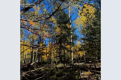 1341 Calcite Drive, Divide, CO 80814 - Photo 7