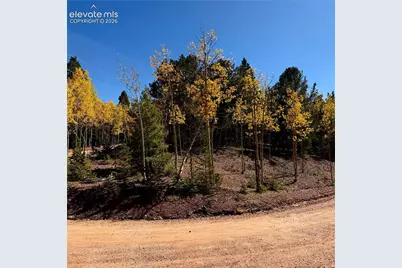 1341 Calcite Drive, Divide, CO 80814 - Photo 1