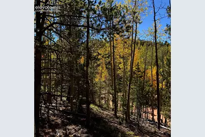 1341 Calcite Drive, Divide, CO 80814 - Photo 9