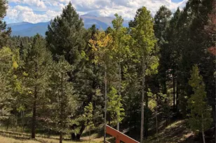 36 Summit Lake Dr, Divide, CO 80814 - Photo 35