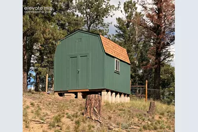 36 Summit Lake Drive, Divide, CO 80814 - Photo 35