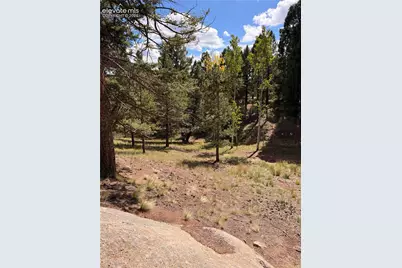 36 Summit Lake Drive, Divide, CO 80814 - Photo 33