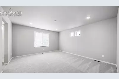 4896 Truscott Road, Colorado Springs, CO 80925 - Photo 19