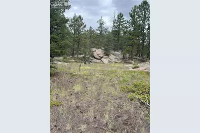 155 County Road 403, Florissant, CO 80816 - Photo 3