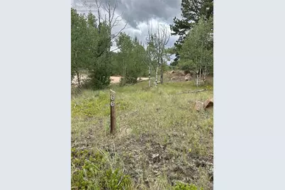 155 County Road 403, Florissant, CO 80816 - Photo 5