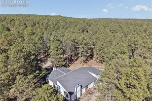 14015 Timber Grove Ln, Elbert, CO 80106 - Photo 47