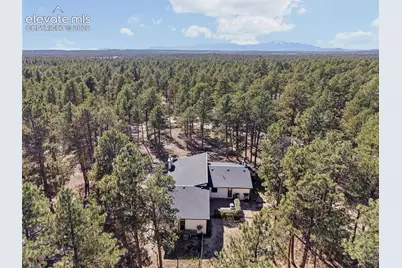 14015 Timber Grove Lane, Elbert, CO 80106 - Photo 43