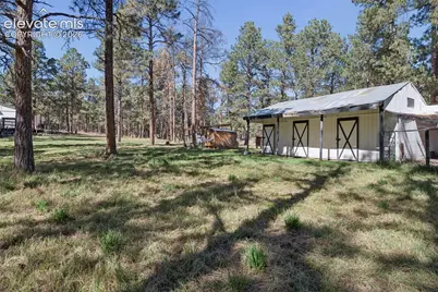 14015 Timber Grove Lane, Elbert, CO 80106 - Photo 41