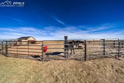 24225 Myers Road, Colorado Springs, CO 80928 - Photo 5