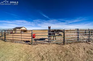 24225 Myers Rd, Colorado Springs, CO 80928 - Photo 5