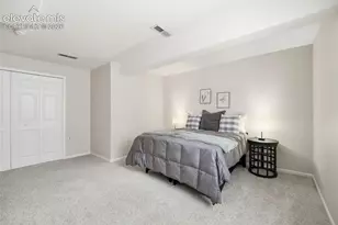 3944 Coral Point, Colorado Springs, CO 80917 - Photo 29