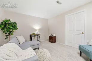 3944 Coral Point, Colorado Springs, CO 80917 - Photo 23