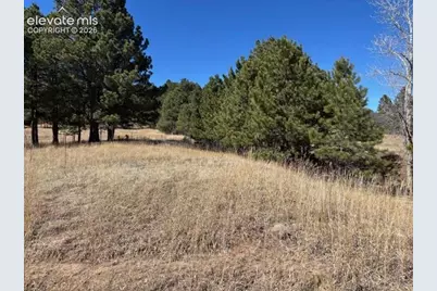 3560 Range View Road, Monument, CO 80132 - Photo 3