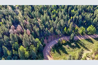776 Spring Valley Lane, Florissant, CO 80816 - Photo 21