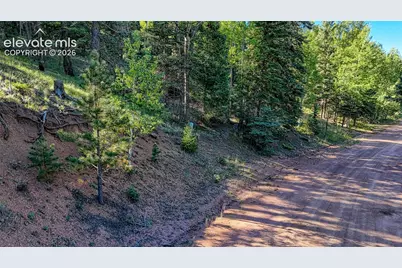 776 Spring Valley Lane, Florissant, CO 80816 - Photo 11