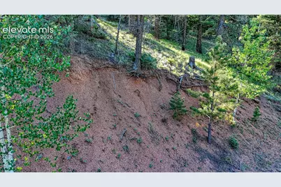 776 Spring Valley Lane, Florissant, CO 80816 - Photo 7