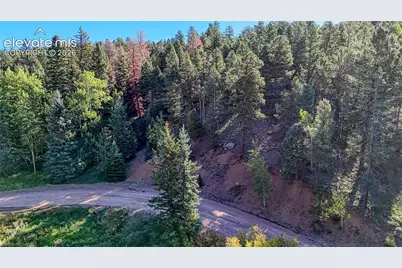776 Spring Valley Lane, Florissant, CO 80816 - Photo 29
