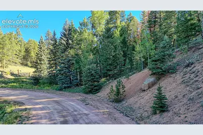 776 Spring Valley Lane, Florissant, CO 80816 - Photo 9
