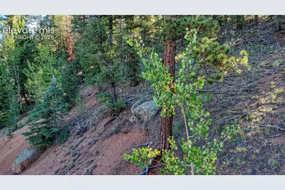 776 Spring Valley Lane, Florissant, CO 80816 - Photo 17