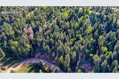 776 Spring Valley Lane, Florissant, CO 80816 - Photo 23