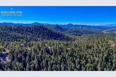 776 Spring Valley Lane, Florissant, CO 80816 - Photo 13