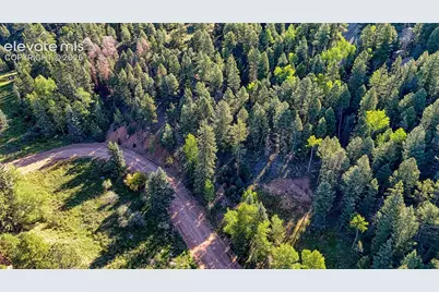 776 Spring Valley Lane, Florissant, CO 80816 - Photo 5