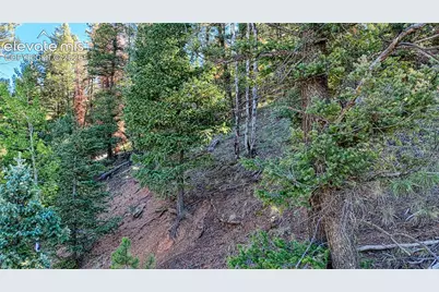 776 Spring Valley Lane, Florissant, CO 80816 - Photo 19