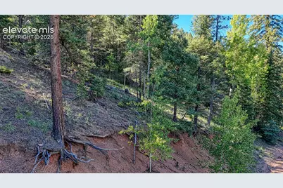 776 Spring Valley Lane, Florissant, CO 80816 - Photo 15