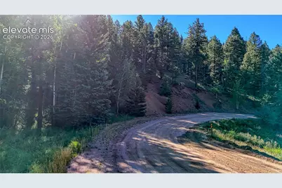 776 Spring Valley Lane, Florissant, CO 80816 - Photo 27