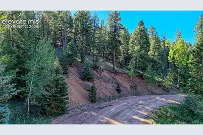 776 Spring Valley Lane, Florissant, CO 80816 - Photo 3