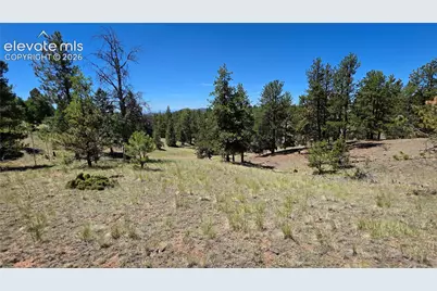 1366 N Mountain Estates Road, Florissant, CO 80816 - Photo 1