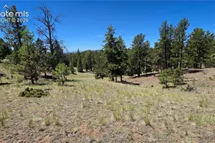 1366 N Mountain Estates Rd, Florissant, CO 80816 - Photo 1