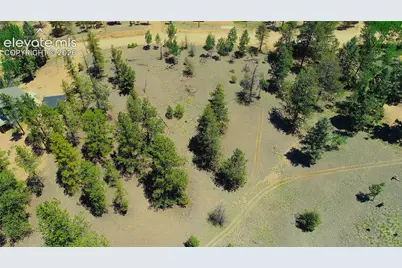 1366 N Mountain Estates Road, Florissant, CO 80816 - Photo 15