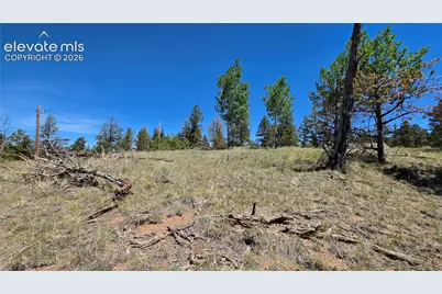 1366 N Mountain Estates Road, Florissant, CO 80816 - Photo 7