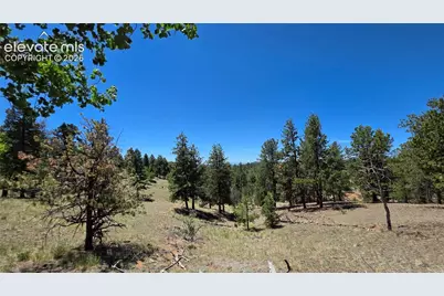 1366 N Mountain Estates Road, Florissant, CO 80816 - Photo 9