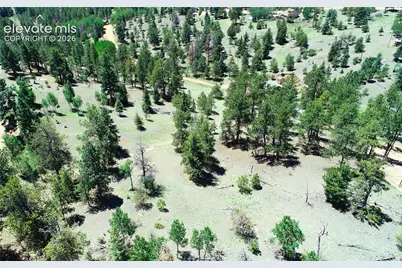 1366 N Mountain Estates Road, Florissant, CO 80816 - Photo 11