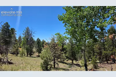 1366 N Mountain Estates Road, Florissant, CO 80816 - Photo 13