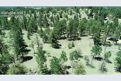 1366 N Mountain Estates Road, Florissant, CO 80816 - Photo 5