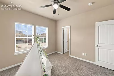 5954 Finglas Drive, Colorado Springs, CO 80923 - Photo 37