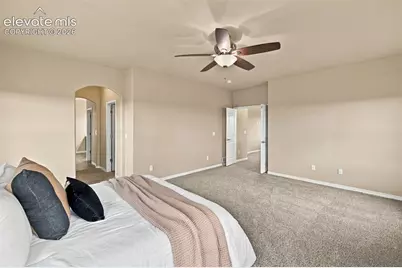 5954 Finglas Drive, Colorado Springs, CO 80923 - Photo 25