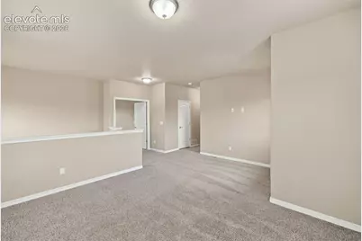 5954 Finglas Drive, Colorado Springs, CO 80923 - Photo 19